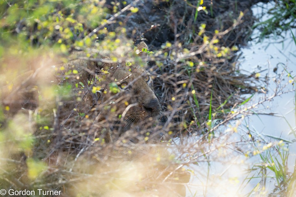 <h2>The Best of South Africa Escorted 2023</h2> 14 Nights | 6 Rounds | March 11 - 25